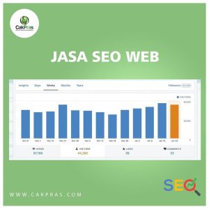 Jasa seo web